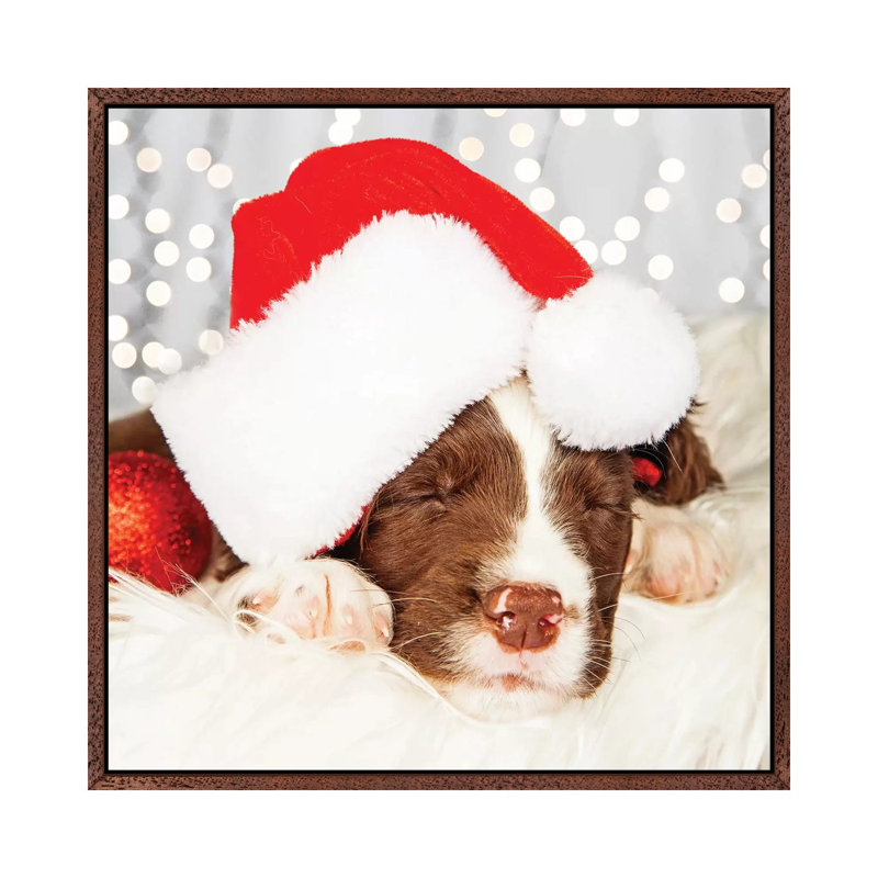Puppy Wearing Santa Hat While Napping On II by Susan Richey - Gallery-Wrapped Canvas Giclée on Canvas, Classic Wood Framed