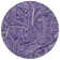 Paisley Indoor / Outdoor Rug