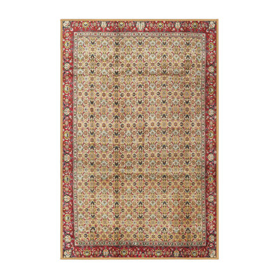 Oriental Indoor Rug