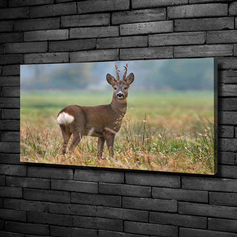 Roe - No Frame Print on Canvas