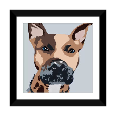" Prince The Pit On Gray " by Julie Ahmad