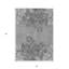 Tapis extérieur lavable floral gris anthracite et ivoire 5 pi x 8 pi