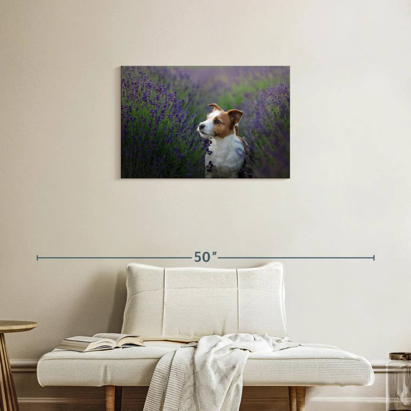 Crowle Jack Russell et lavande, H 20 po x l 30 po