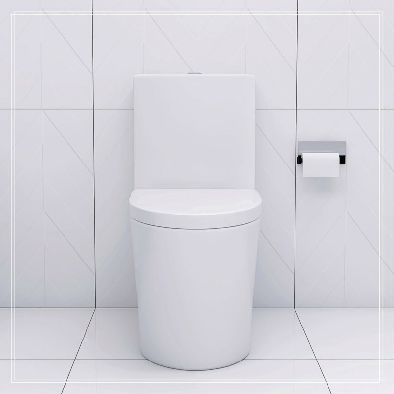 Elongated One Piece Toilet, White