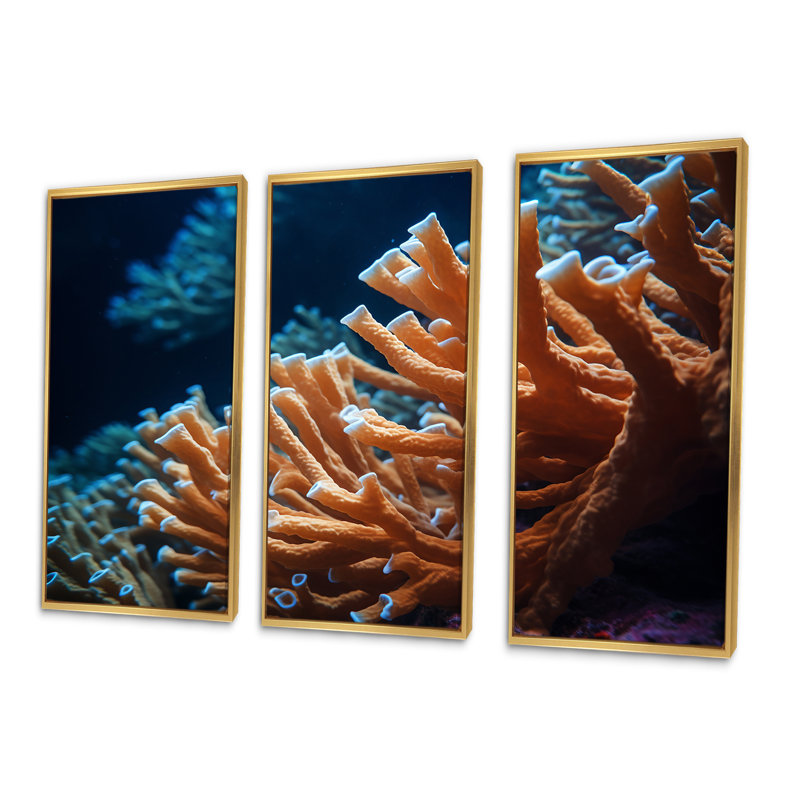 Ensemble de décoration murale orange corail sous l'eau - corail sous l'eau, Cadre flottant doré, H 28 po x l 36 po x P 1 po