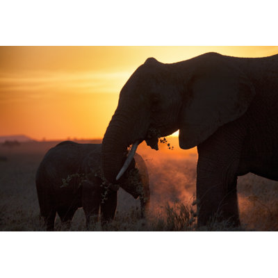 Elephants At Sunset - Wrapped Canvas Print
