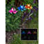 Piquet de jardin Plants & Flowers-97952852