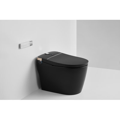 Toilette Breezebath Smart avec bidet brut de 10 pouces, couvercle à ouverture / fermeture automatique, chasse d'eau automatique, siège chauffant, lavage à l'eau chaude, séchoir à air, affichage numérique, veilleuse, désodorisant et glacis antibactérien, T305MB-10