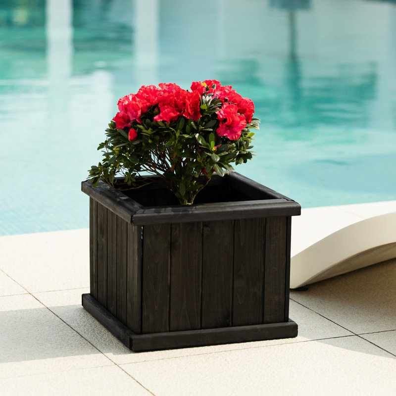 Barros Outdoor Wood Planter Box New house beauty and hope Raised Garden Bed, Black, 30.5cm H x 38.1cm W x 38.1cm D