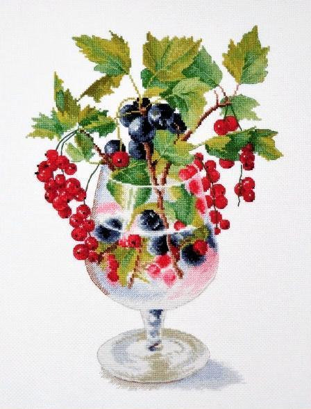 Currant 882