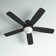 Stembridge 52'' Ceiling Fan with LED Lights