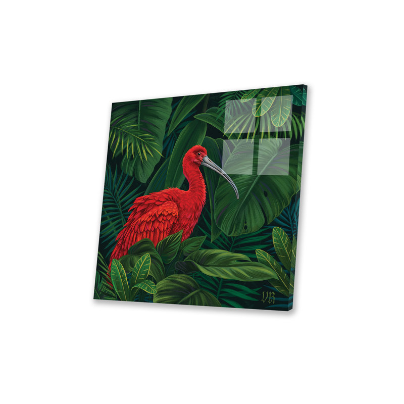 Scarlet ibis sur peinture plastique / acrylique