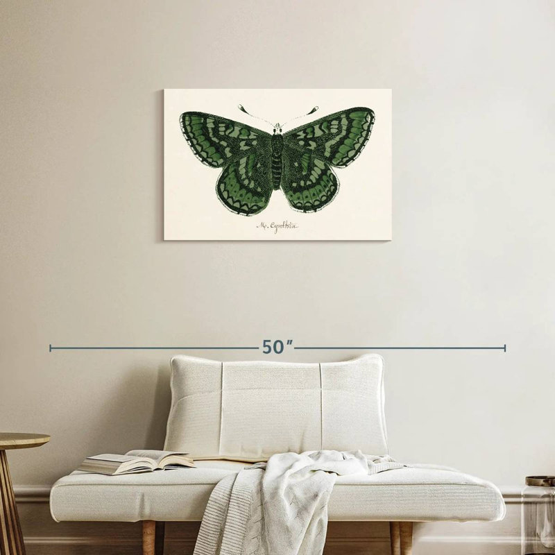 Brampt papillon antique I, H 20 po x l 30 po