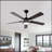 Ceiling Fans with Lights and Remote Control