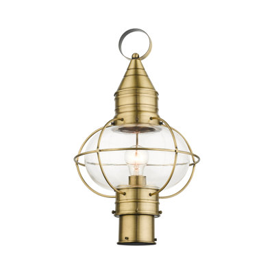 Tête de lanterne câblée à 1 lumière H 19,75 po Aster