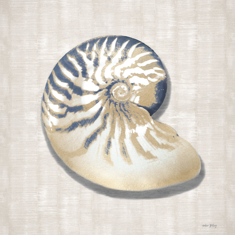Shimmer Shell par Amber Sterling, H 36 po x l 36 po, Toile flottante blanche encadrée