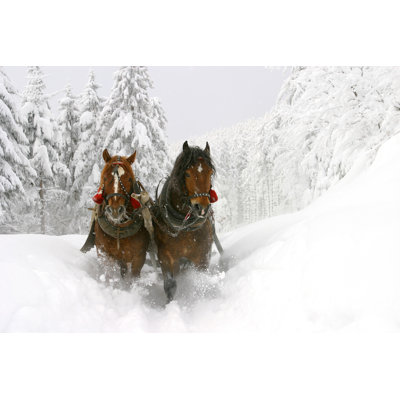 Sleigh Ride - Wrapped Canvas Print