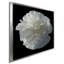 Floral Majesty III - photographie-690292924-690292925