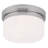 Jenniferrose Glass Flush Mount