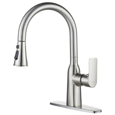 WOWOW Pull Out Kitchen Faucet