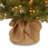 Nordic Spruce Tree with Clear Lights-10417430