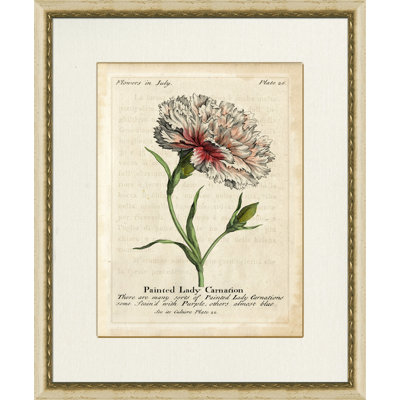 Painted Lady Carnation Painting