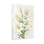 Plantes et fleurs Fleurs de lys blanc avec feuilles vertes-2109971409