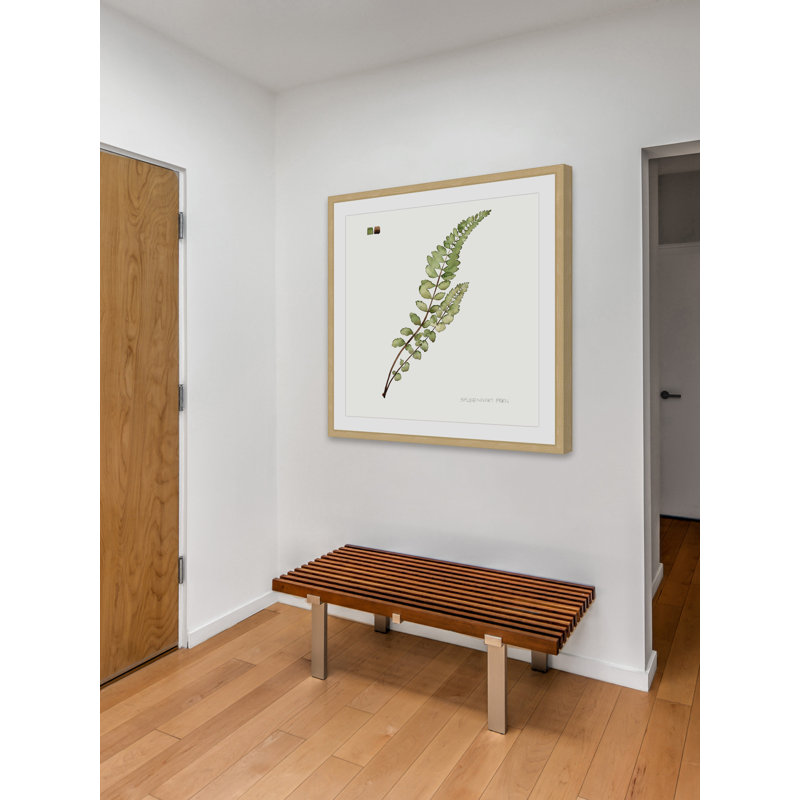 "Leaf Study I" Framed Print, 32" H x 32" W x 1.5" D
