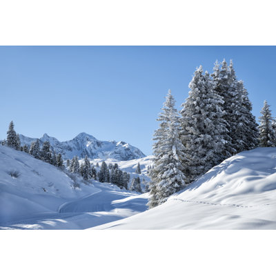Winter by Kemter - Wrapped Canvas Print