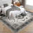 Washable Area Rug, Vintage Medallion Low Pile Non Slip Foldable Indoor Carpet, TPR Backing, Gray Tone, 5'x7'-565426021-565426011