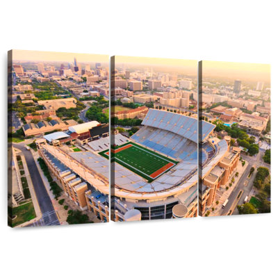 Lilie University Of Texas Stadium