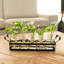 Plante terrarium avec support en métal