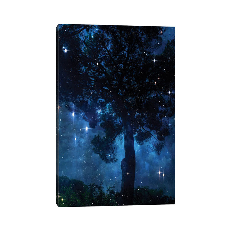 Midnight Sky II by Irena Orlov - Wrapped Canvas Print, 30.48 cm H x 45.72 cm W