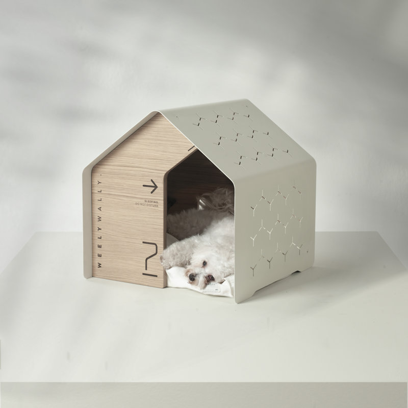 Dog House