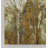" Birch Grove Panoramic "-22481886