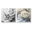 Pivoines en couches monochromes I - art mural pivoines - ensemble d'art mural traditionnel 2 pièces-142325506-142325560-142325513