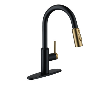 Boyel Living Pull Down Kitchen Faucet -  BL-APS244-BBG