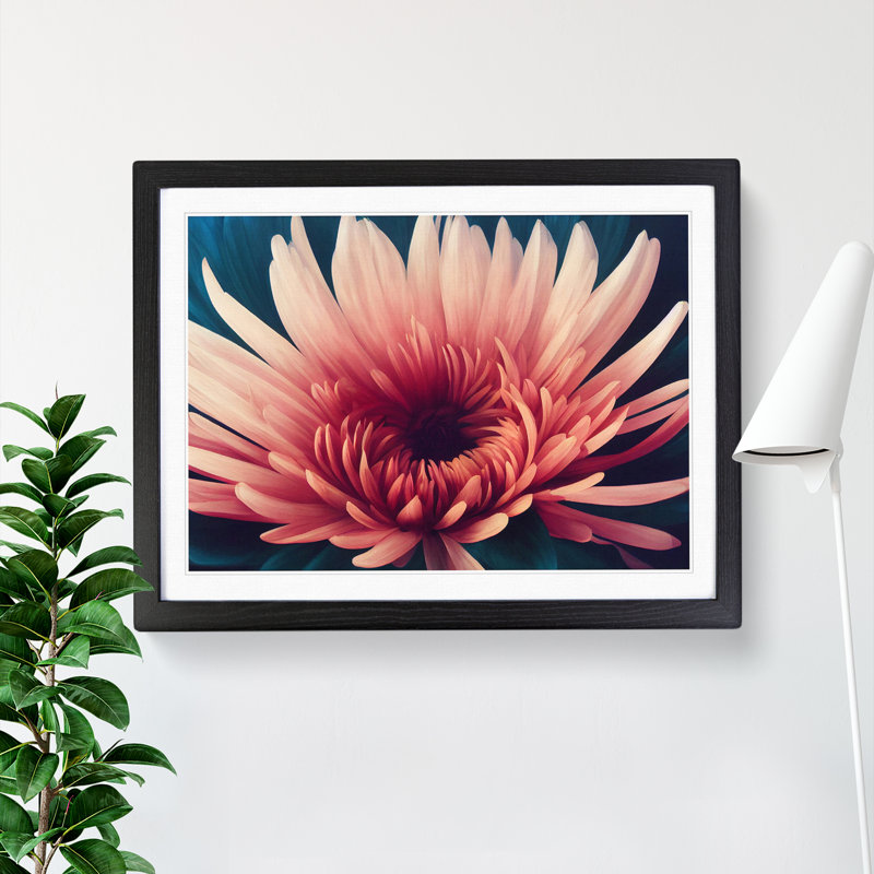 Impactful Chrysanthemum Flower 1 Piece Single Picture Frame Wall Art, 46cm H x 64cm W x 2cm D, Black