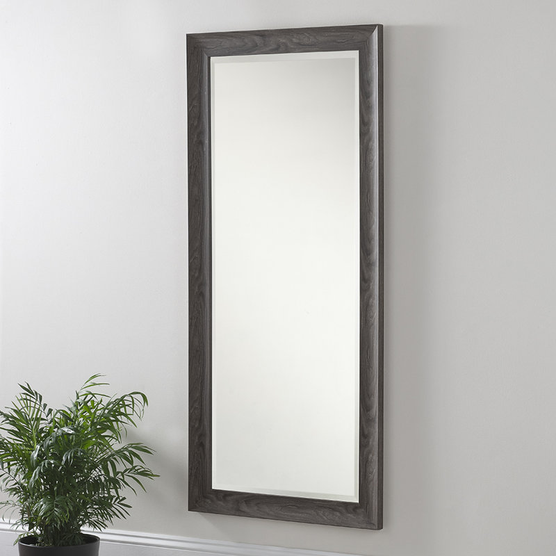 Greenlawn Curved Profile Grey Accent Wall Mirror, 76cm H x 167.5cm W, Light Grey
