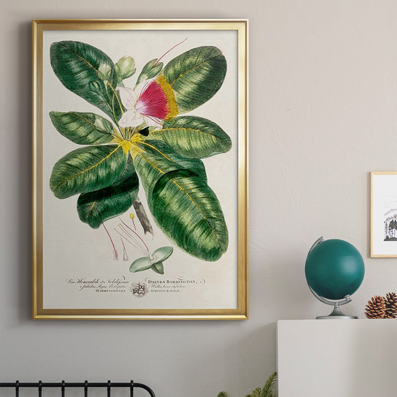 Imperial Tropical Botanical I, reproduction d'art encadrée, Or, H 42,5 po x l 30,5 po x P 1 po