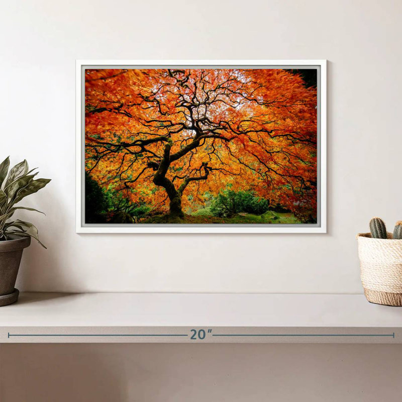 Automne érable japonais, Cadre flottant blanc, 13 po x 9 po