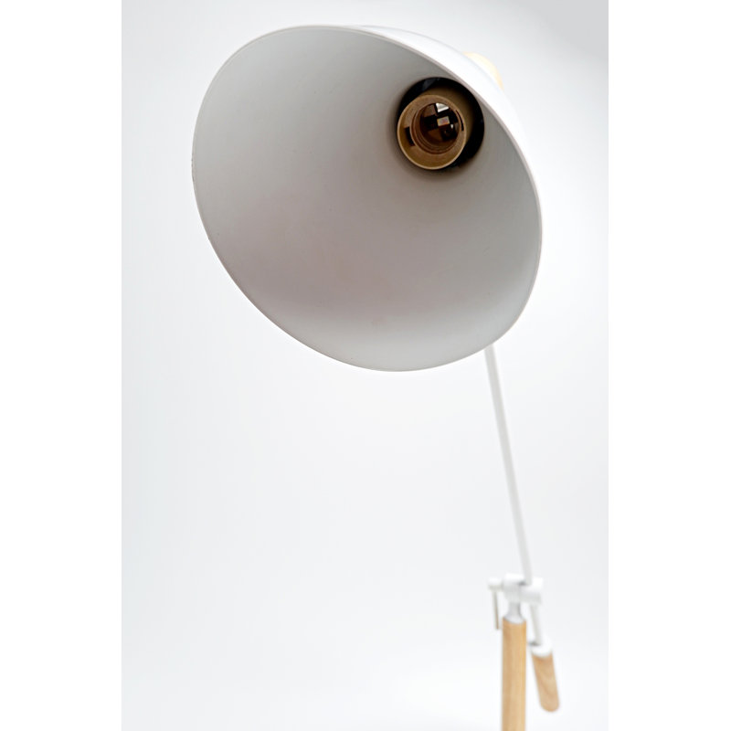 Yuraima 55'' Task Floor Lamp, White