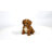 Baby Cavapoo-67579693