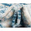 Tapis bleu Oneita-40285357