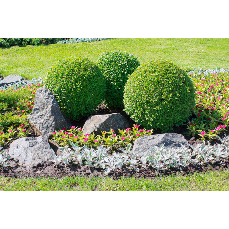 Park With Bushes And Stones by DmyTo - Wrapped Canvas Print, 51cm H x 76cm W x 3.8cm D
