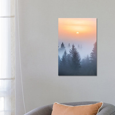 Mysterious 1 Piece Wrapped Canvas Wall Art