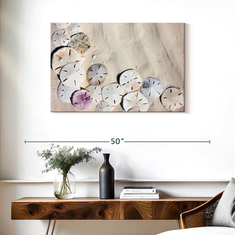 Beach Sand Dollars, 24" H x 36" W