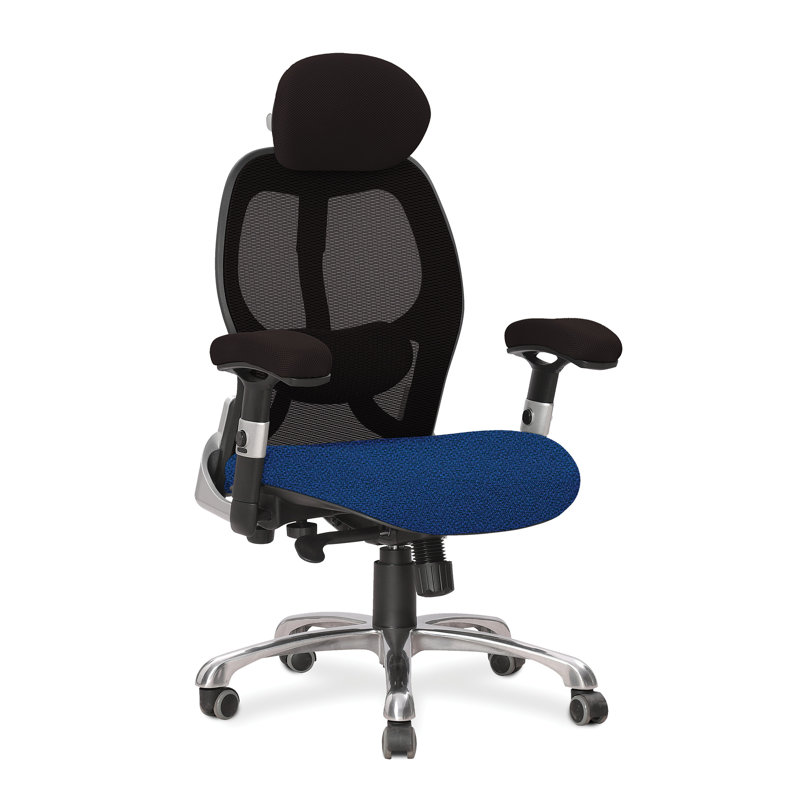 Artimacormick Mesh Executive Chair, Black/Blue