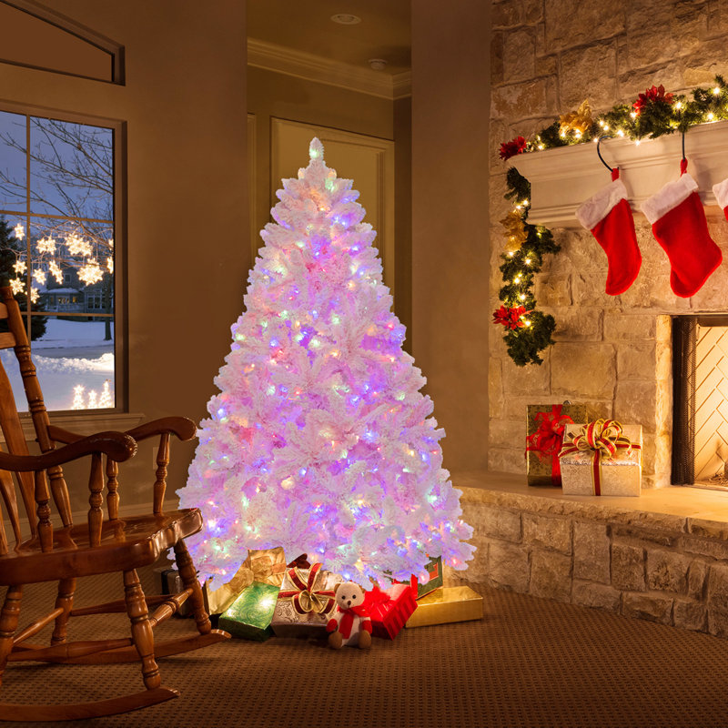 Jacquan 6 Christmas Tree
