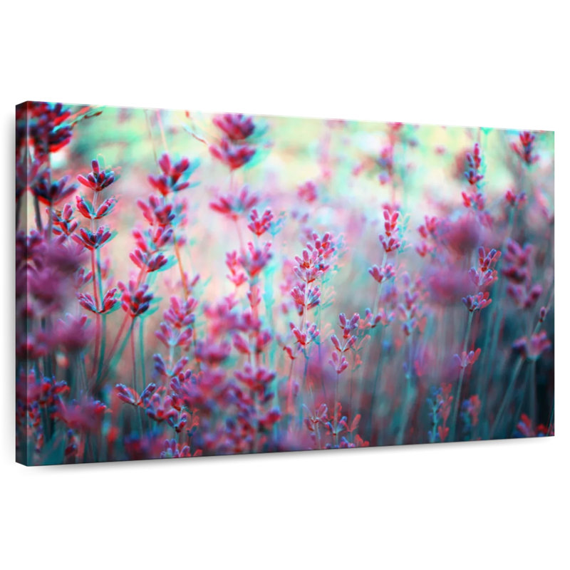 Fleurs de lavande Harnek anaglyph, H 16 po x l 24 po